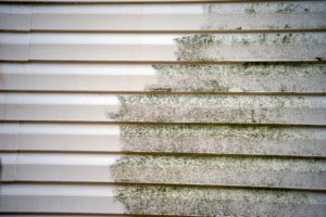Five Questions to Ask an Exterior Home Cleaning Service