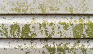 Three Benefits of Siding Cleaning