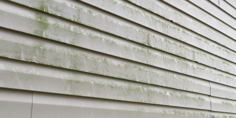 Why Softwashing is the Way to Go for Siding Cleaning
